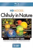 Chihuly In Nature