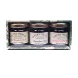 Raspberry, Strawberry, and Marionberry Jam - Trio Sampler - Maury Island Farms - 4.5oz