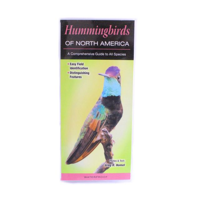 Hummingbirds of North America, A Comprehensive Guide to All Species - by Greg R. Homel