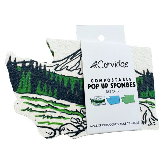 Washington State Compostable Dish Sponges (pack of 3 sponges)